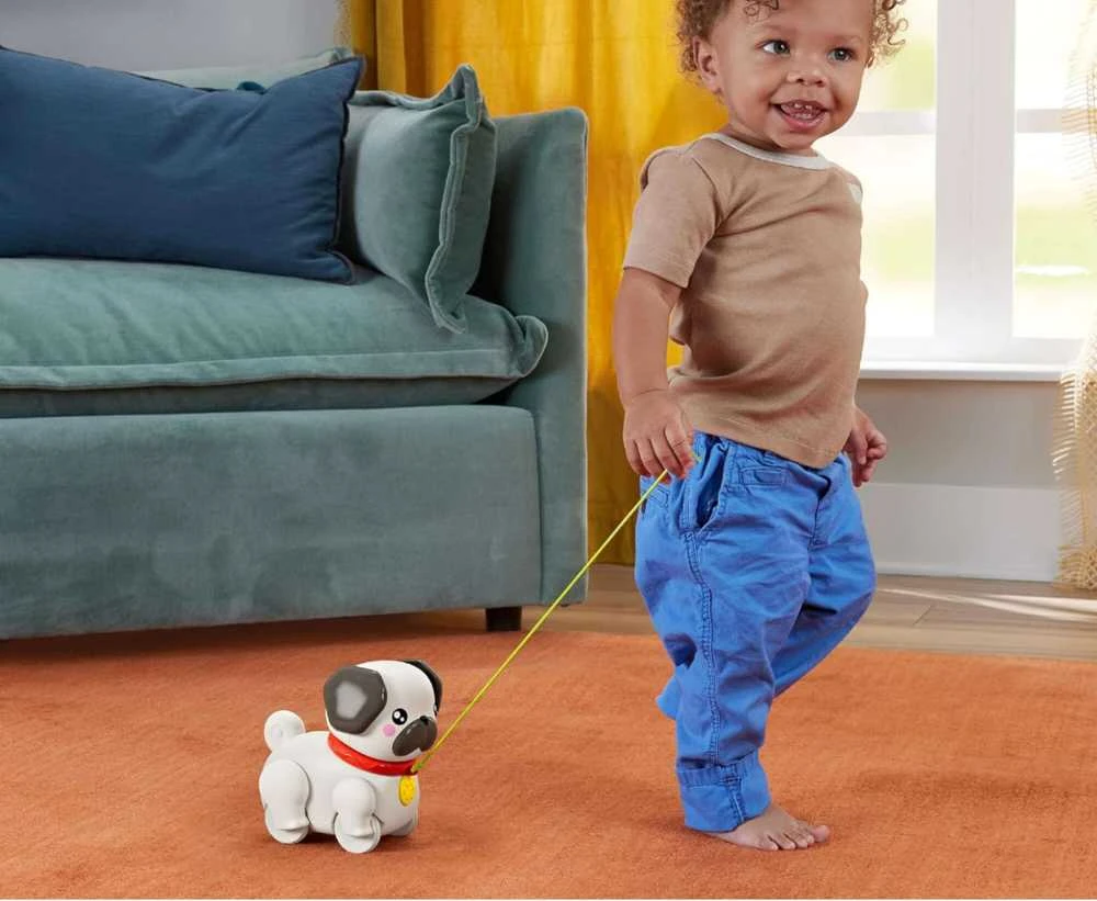 Fisher Price Mattel FP šuniukas Mopsas