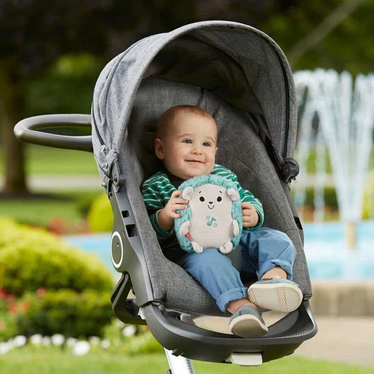 Mattel *****FP ežiuko formos pliušinis žaislas raminimui GHL40