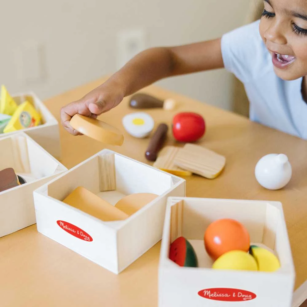 MELISSA & DOUG Rinkinys „Maisto produktų grupės“