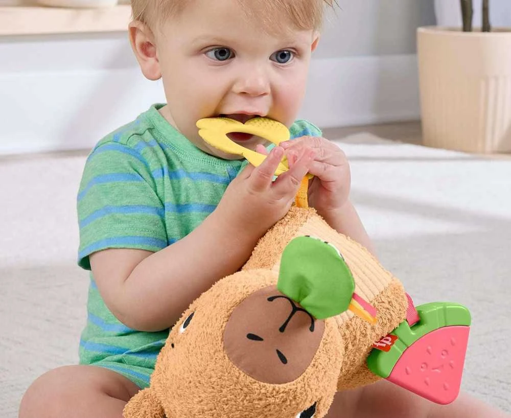 Mattel FISHER-PRICE lavinamasis žaislas – Kapibara (HYR54)