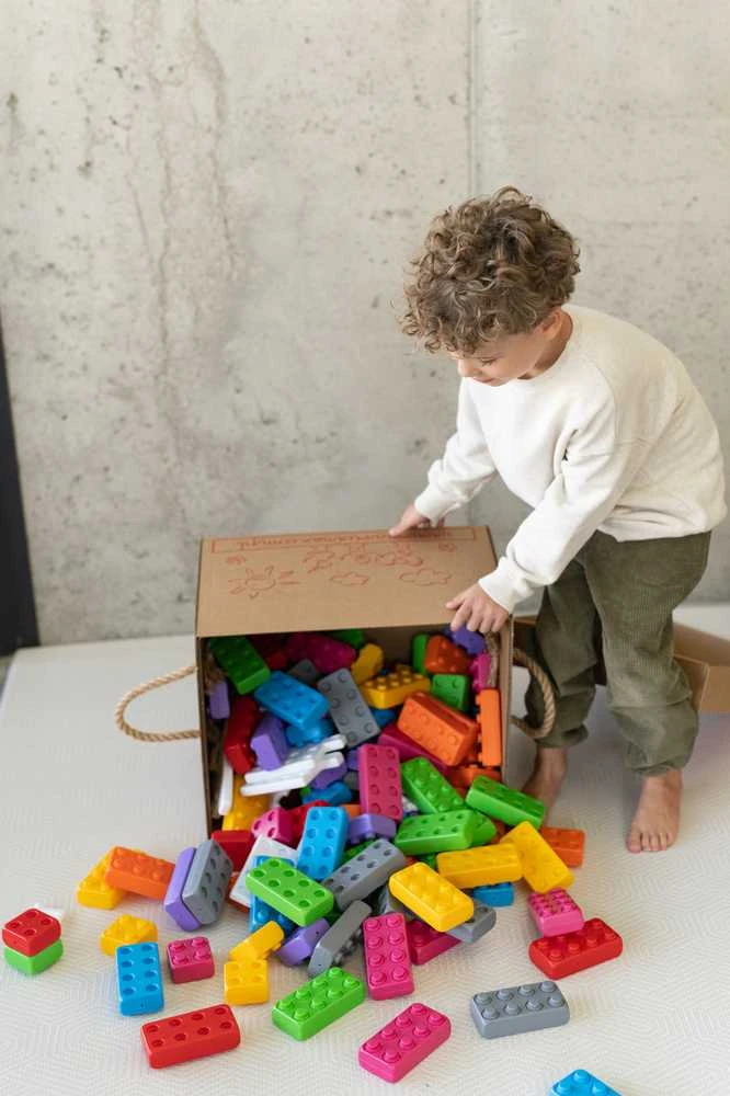 Marioinex Bricks Bricks Junior 140 langai ir durys (902 387)