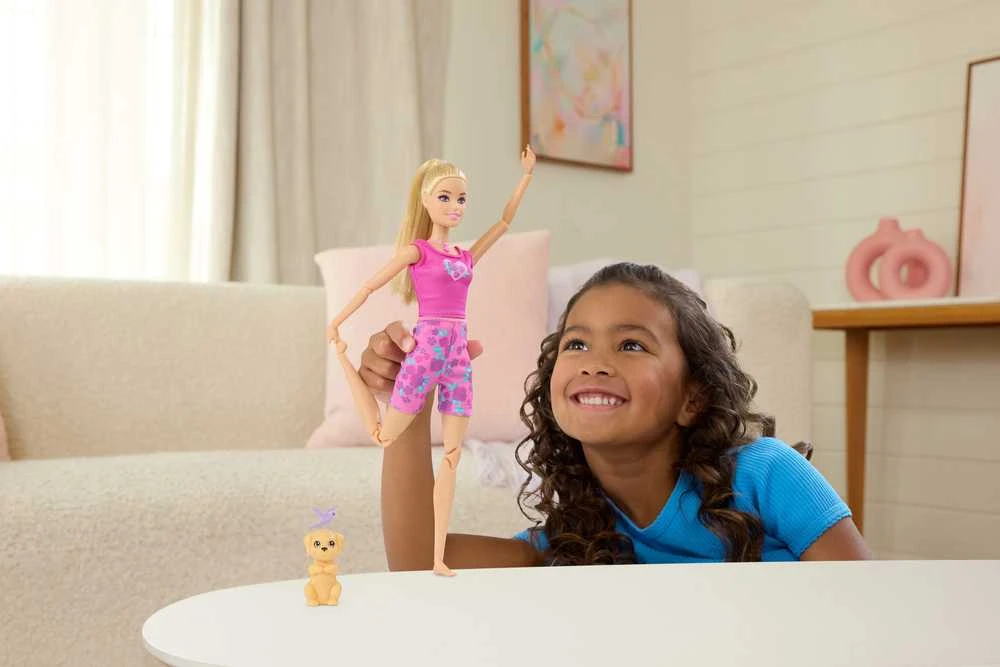 Mattel BARBIE WELLNESS MEDITATION lėlės rinkinys (JJN55)