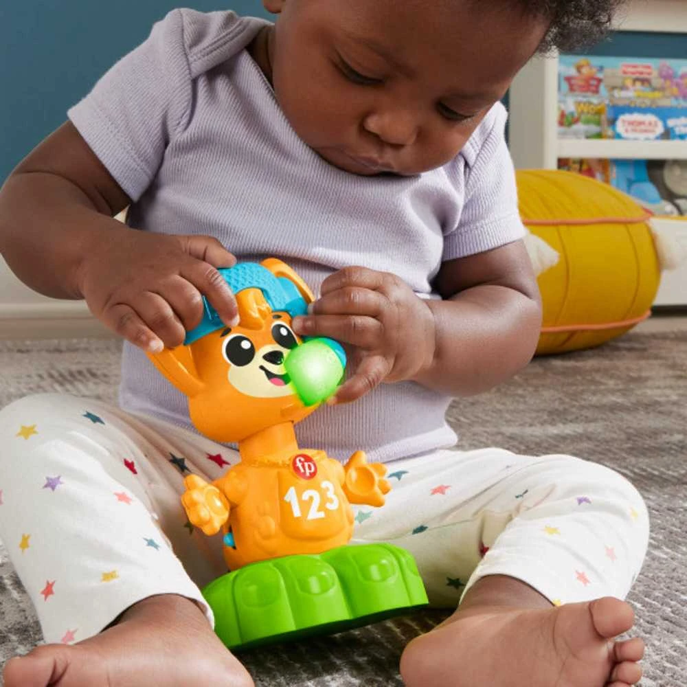 Fisher Price Mattel FP LS Fox muzikinės priešingybės HYL37 /2