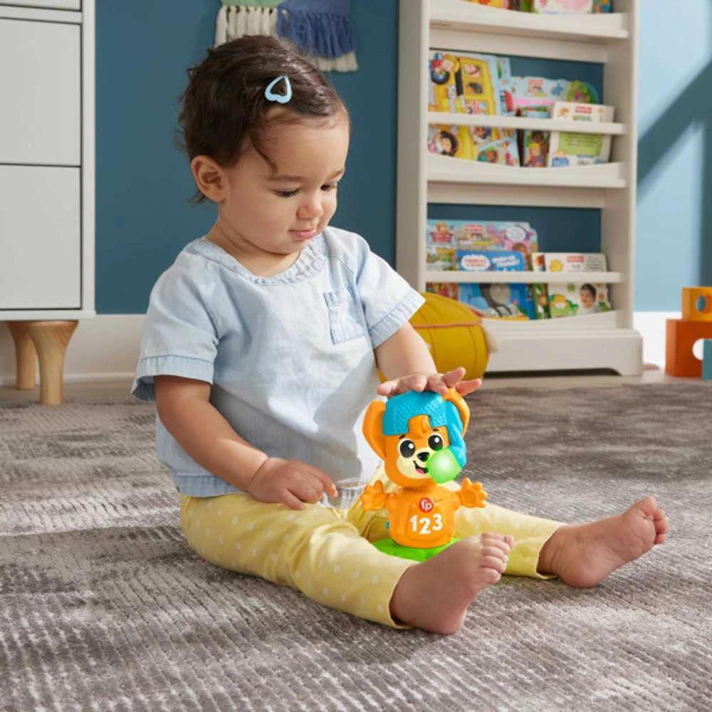 Fisher Price Mattel FP LS Fox muzikinės priešingybės HYL37 /2