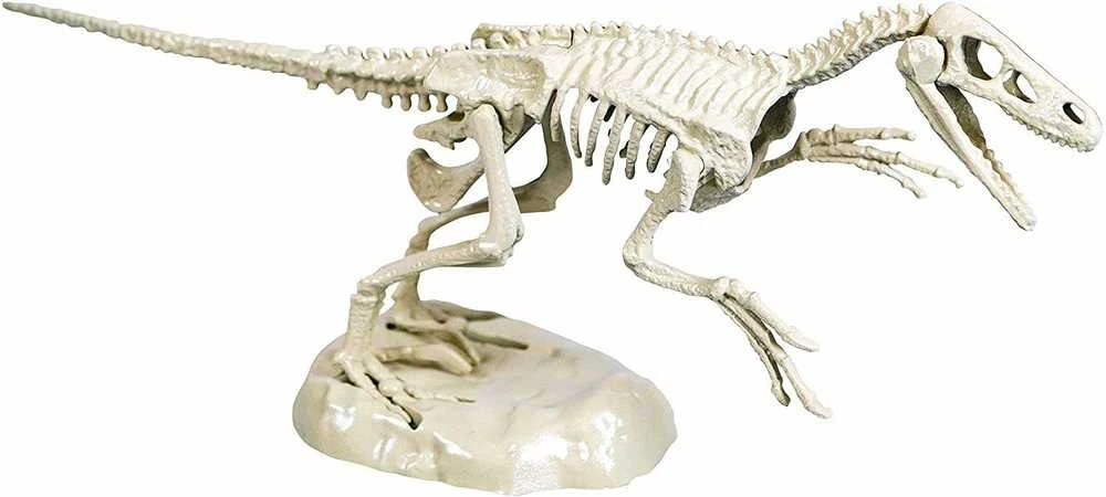 Clementoni Velociraptor fosilijos