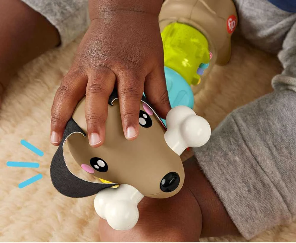 Mattel Fisher - price veikos šunelis