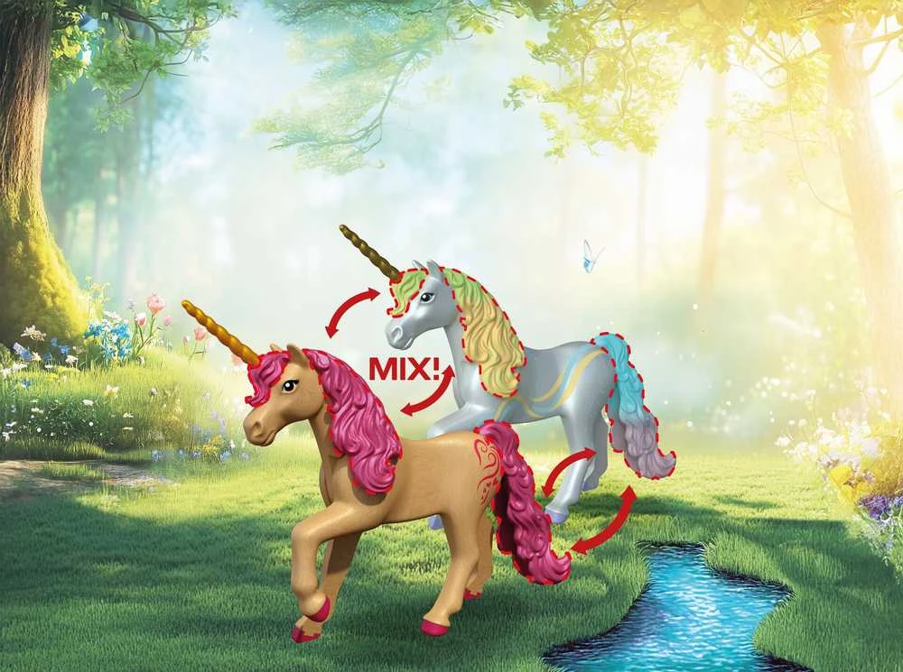Konstruktorius Playmobil Fairies' Day Trip (72067)