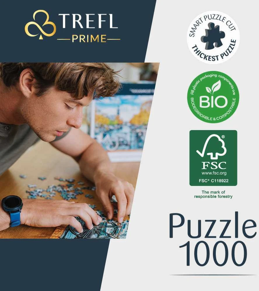 Trefl Dėlionė 1000 vnt. - Burlaiviai