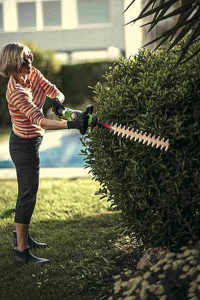 Greenworks Gyvatvorių genėtuvas 40V g40ht61 (tik įrankis)