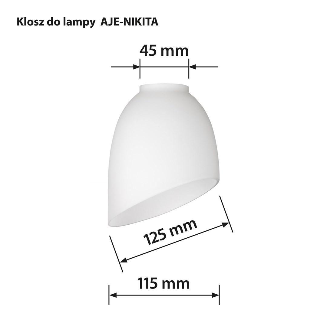 ActiveJet Šviestuvo Gaubtas - Nikita