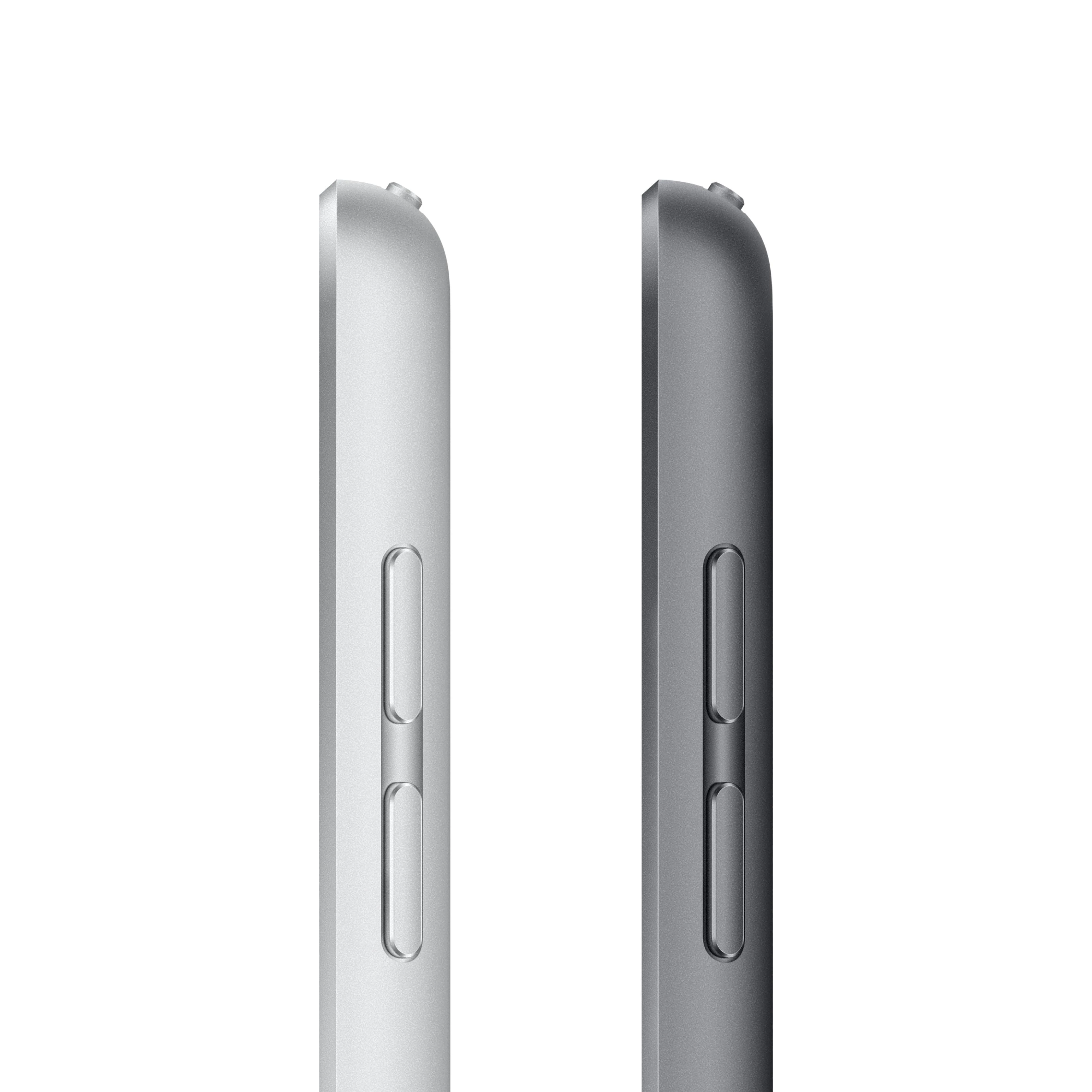 Planšetė Apple iPad 10,2 colio Wi-Fi 64GB Kosminė pilka, 9th Gen (2021)