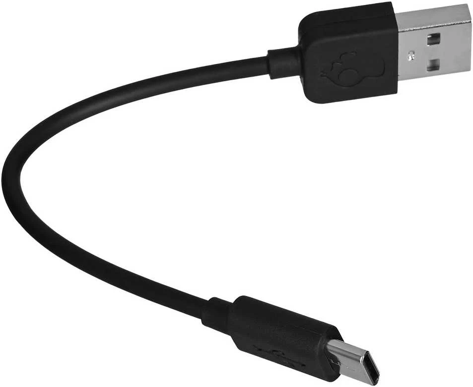 Ausinės Skullcandy | True Belaidės Earbuds | SMOKIN BUDS