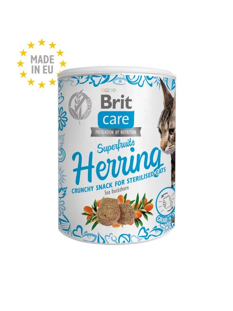 BRIT CARE Cat Superfruits Salmon skanėstai 100g