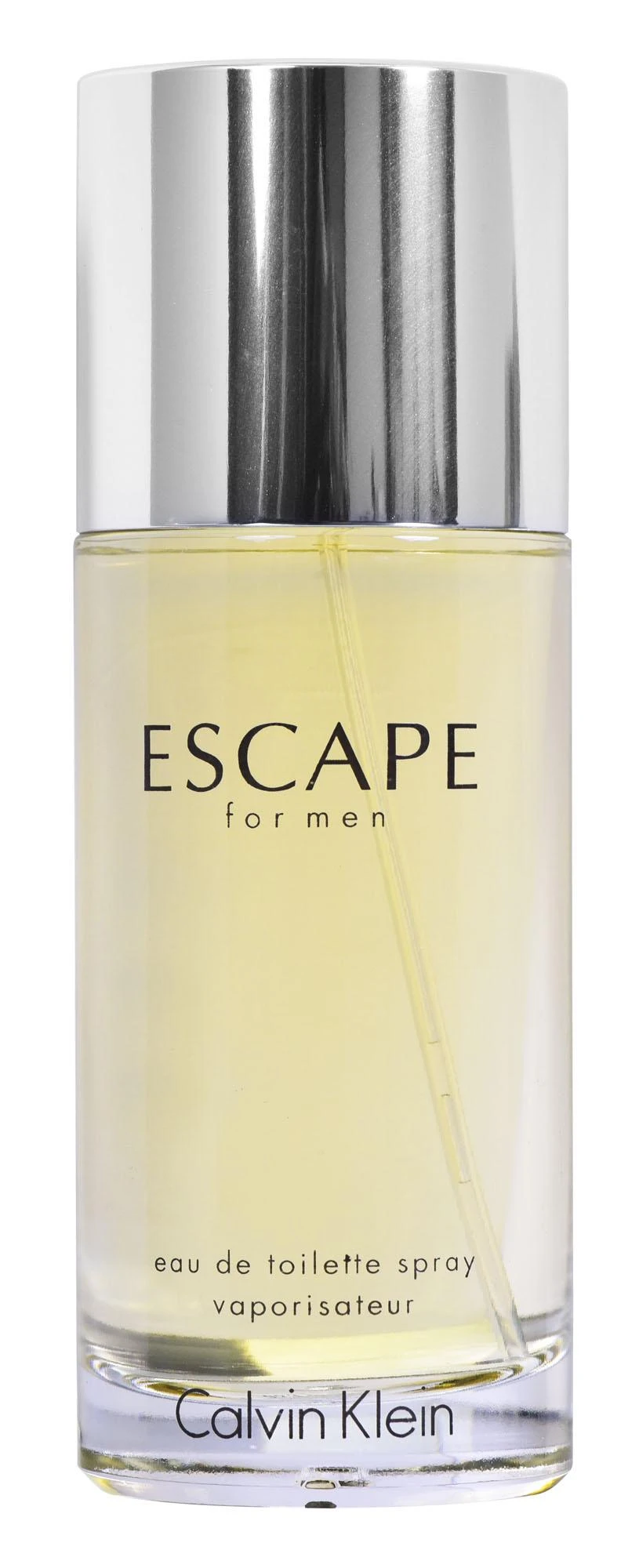 Calvin Klein Escape for Men EDT spray 100ml | Varle.lt