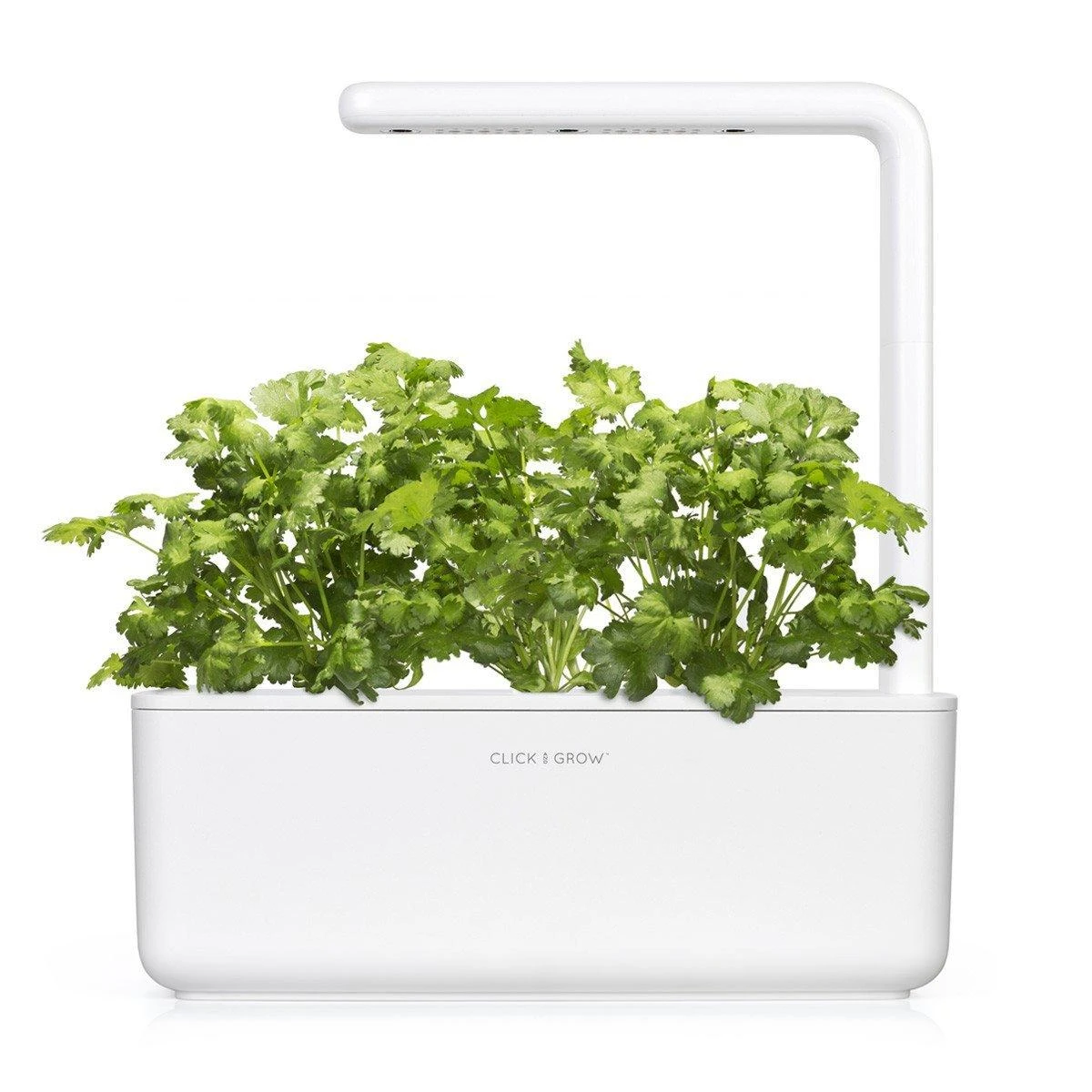 Click and Grow Smart Home 3 vnt. papildymas - kalendros sėklos