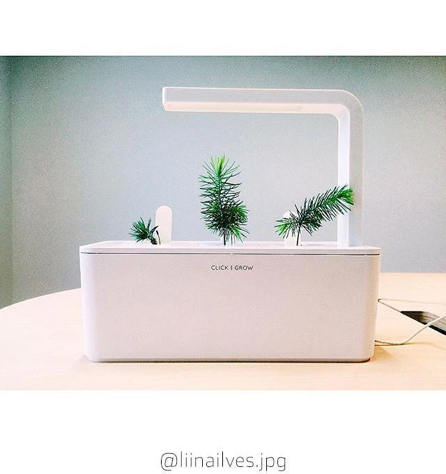 Click Grow „Click and Grow“ – išmaniojo sodo papildymo 3 vnt. pakuotė – eksperimentinis (SGR0X3)
