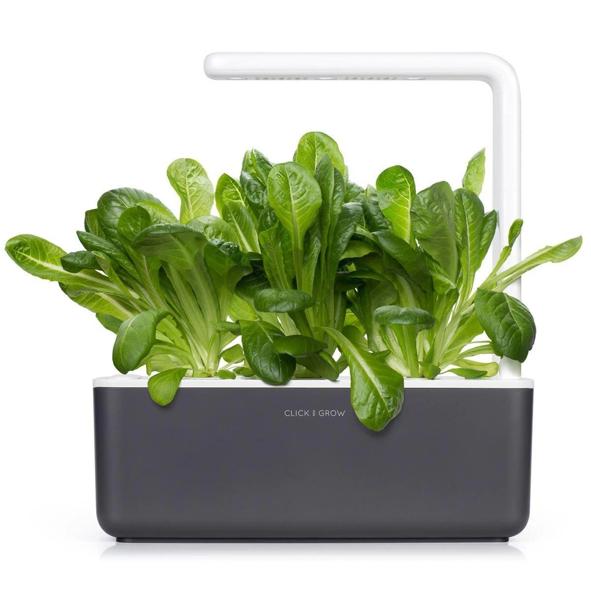 Click & Grow 3 vnt. papildymas - romėniškų salotų sėklos