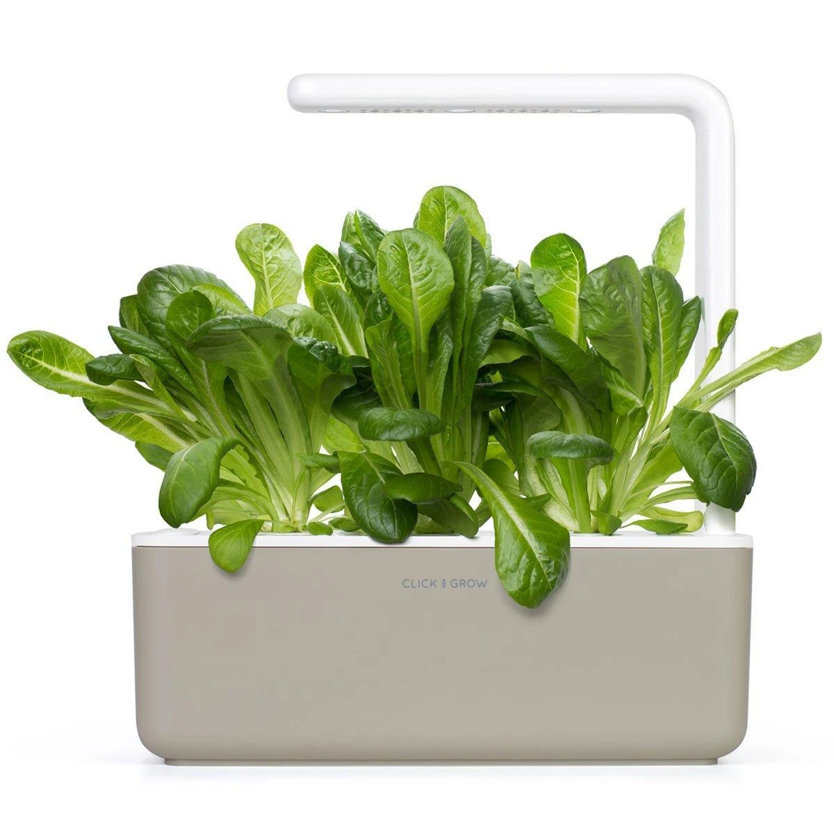 Click & Grow 3 vnt. papildymas - romėniškų salotų sėklos