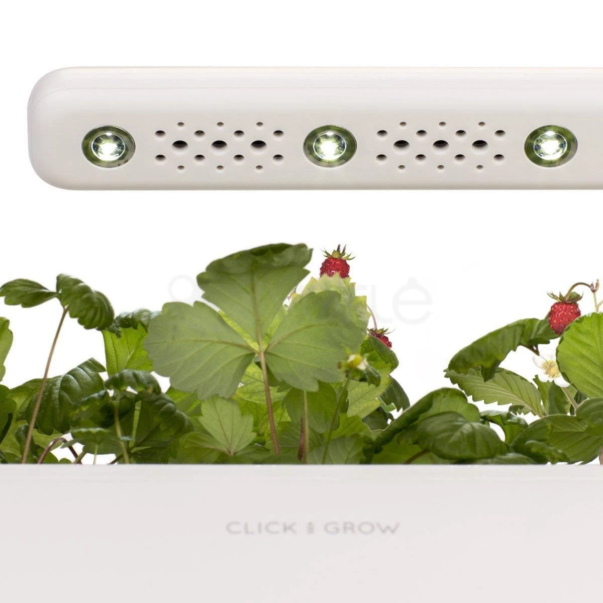 Išmanus namų sodas Click & Grow Smart Indoor Garden 3, baltas