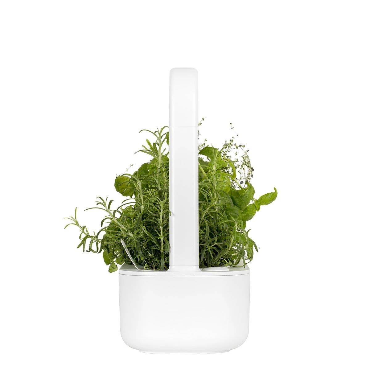 Išmanus namų sodas Click & Grow SG9 Baltas