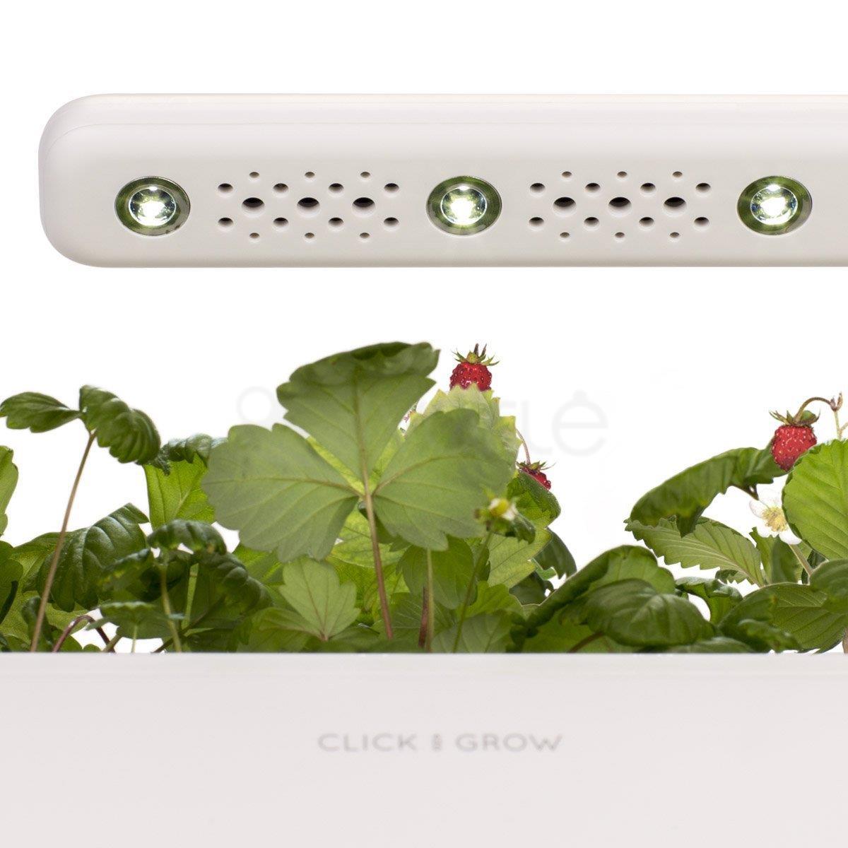 Išmanus namų sodas Click & Grow Smart Indoor Garden 3, pilkas