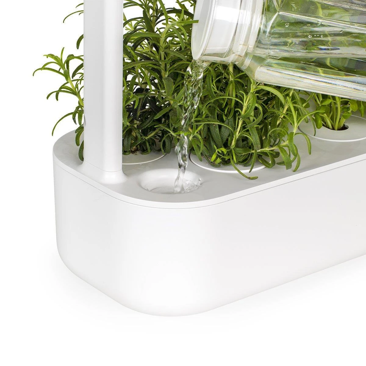 Išmanus namų sodas Click & Grow SG9 Baltas