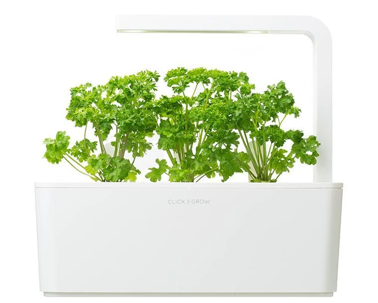 Click Grow „Click and Grow“ – išmaniojo sodo papildymo pakuotė, 3 vnt. – petražolės (SGR13X3)