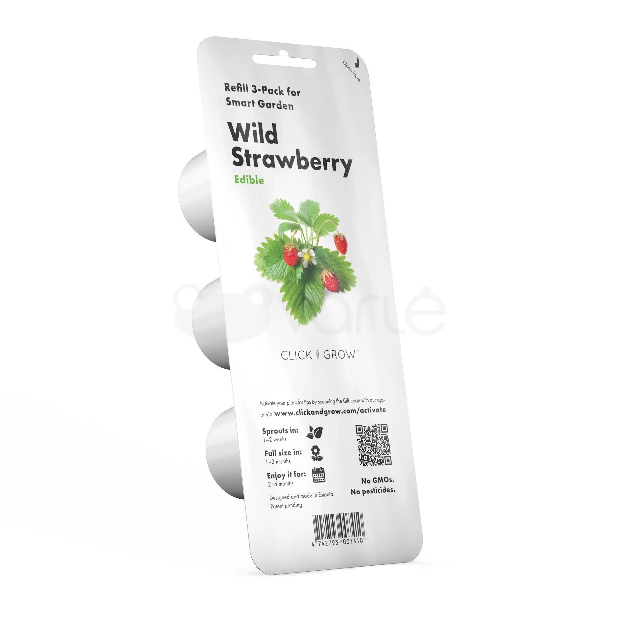 Click & Grow sėklos išmaniajam braškių vazonui  SHGR24x3 3vnt.