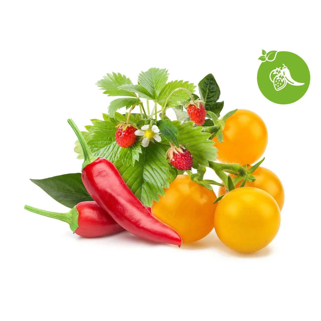 Click&Grow Vaisių ir daržovių mišinys 9 vnt.