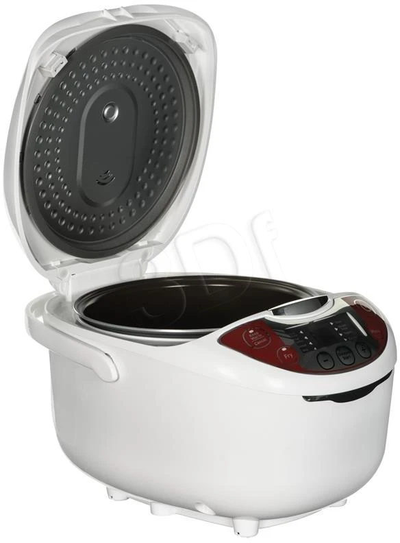 Daugiafunkcinis puodas Tefal RK 7051