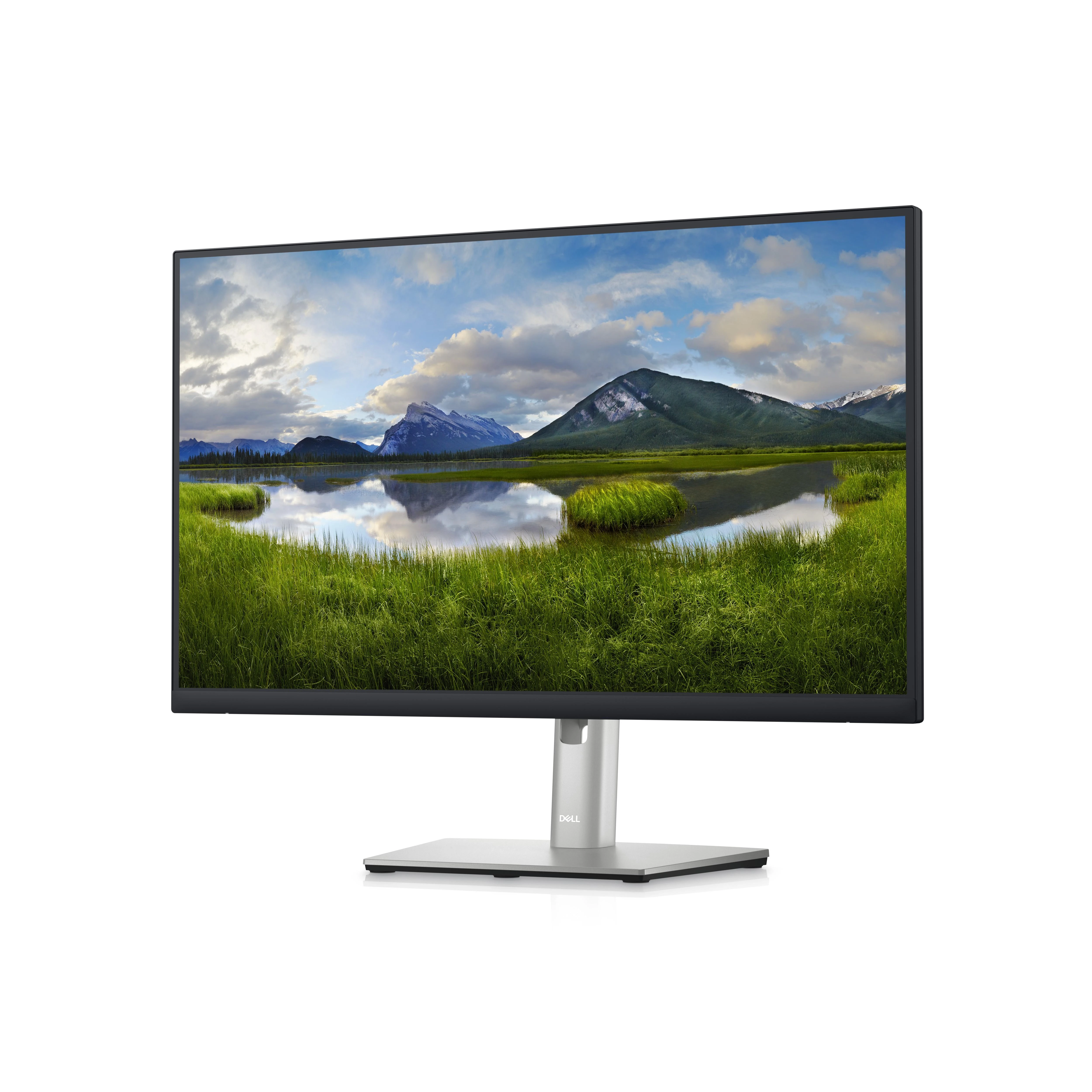 Monitorius Dell P2423D, 23.8", IPS, 2560x1440, 16:9, 60 Hz, 5 ms reakcijos laikas, 300 cd/m², Reguliuojamas aukštis ir pasvirimas, 210-BDEG