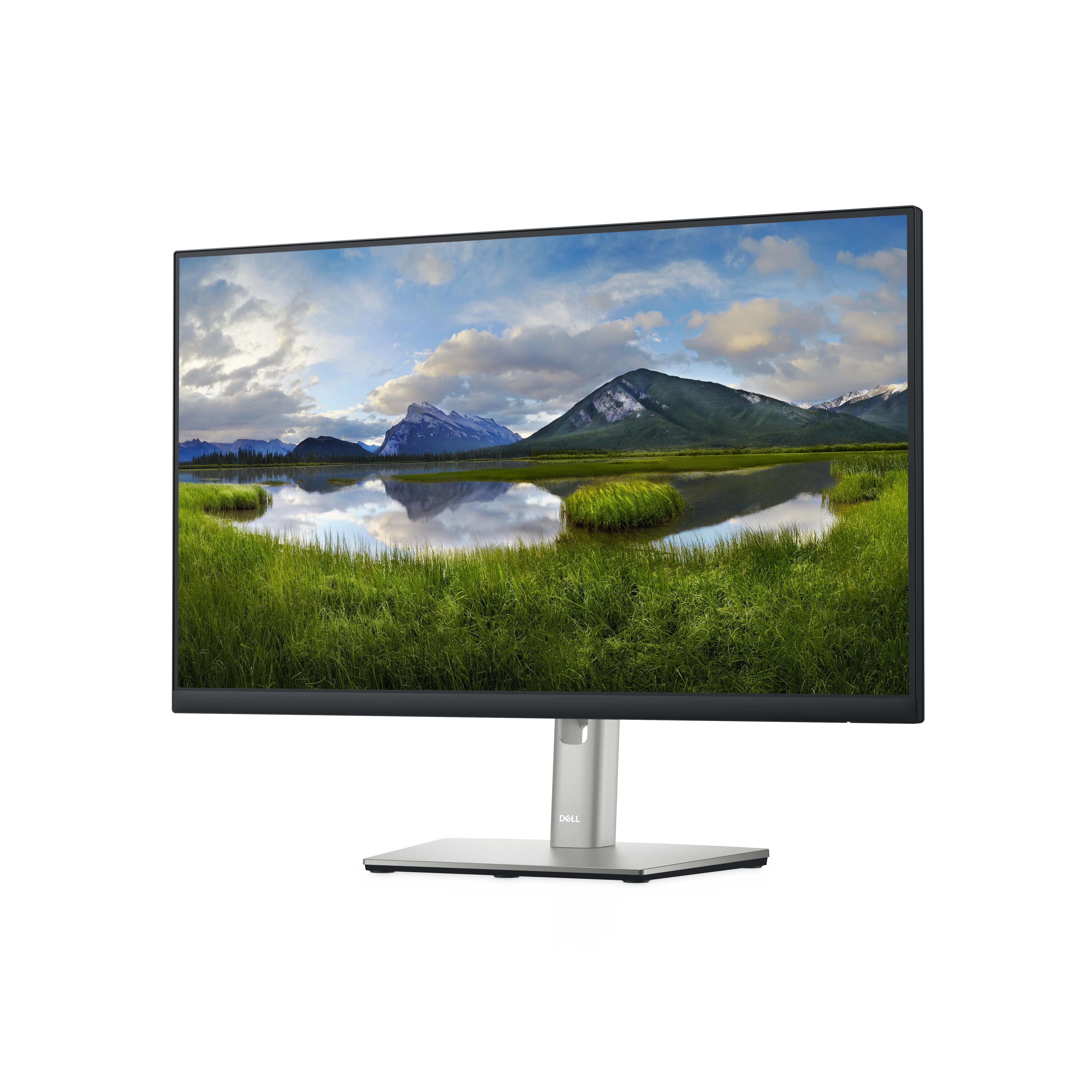 Monitorius Dell | LCD | P2422H | 24 " | IPS | FHD | 16:9 | 60 Hz | 5 ms | 1920 x 1080 | 250 cd/m² | Audio | HDMI jungtys quantity 1 | Sidabrinis | Garantija 36 mėn.