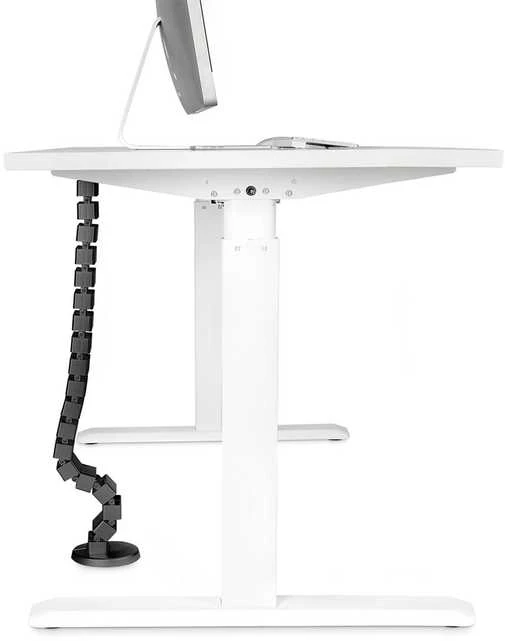 Assmann Electronic DIGITUS Cable Management Stuburo spalva juodas
