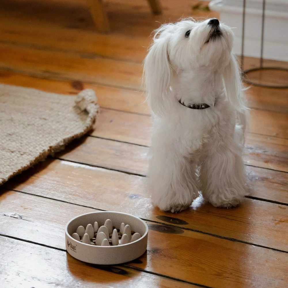 DINGO Bamboo bowl - dog bowl - 800 ml