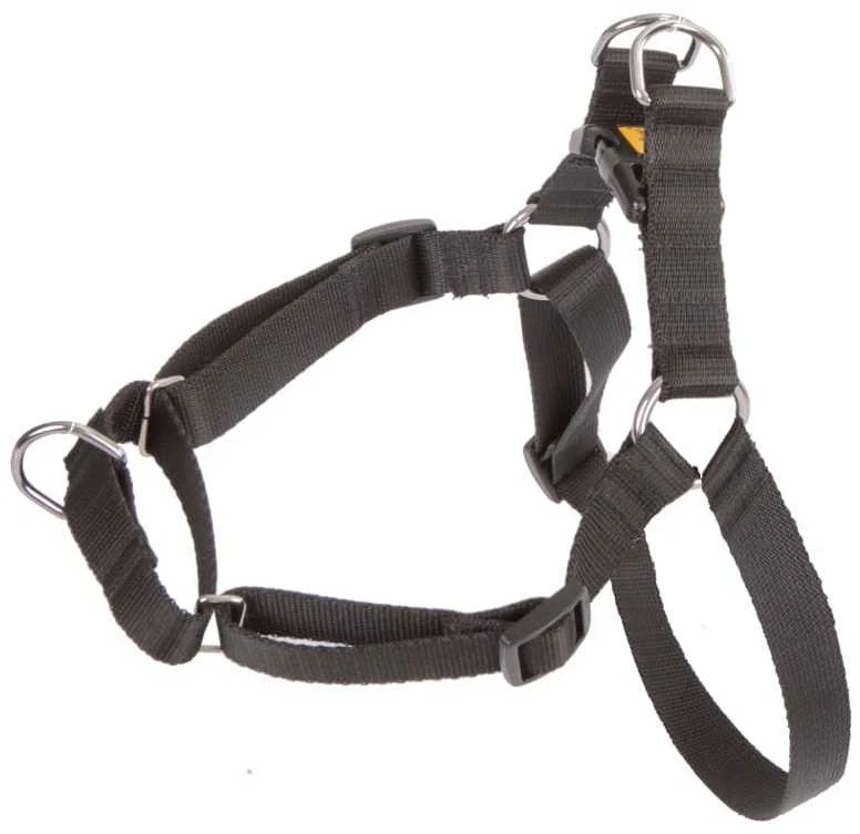 Dingo Easy Walk petnešos šunų tempimui 48-64cm juoda