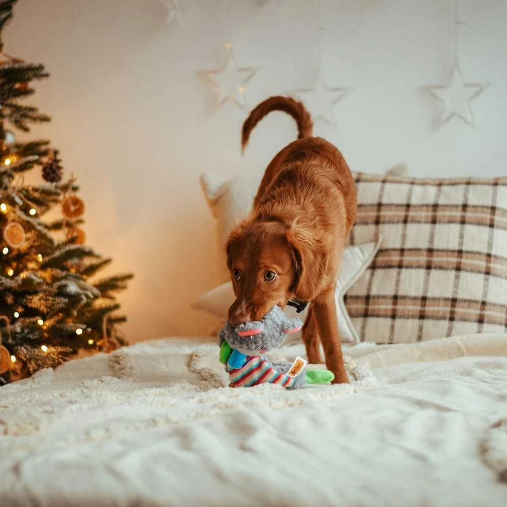 Dingo DINGO Žaislas PLUSZ MIŚ SZELESZCZĄCY 36cm