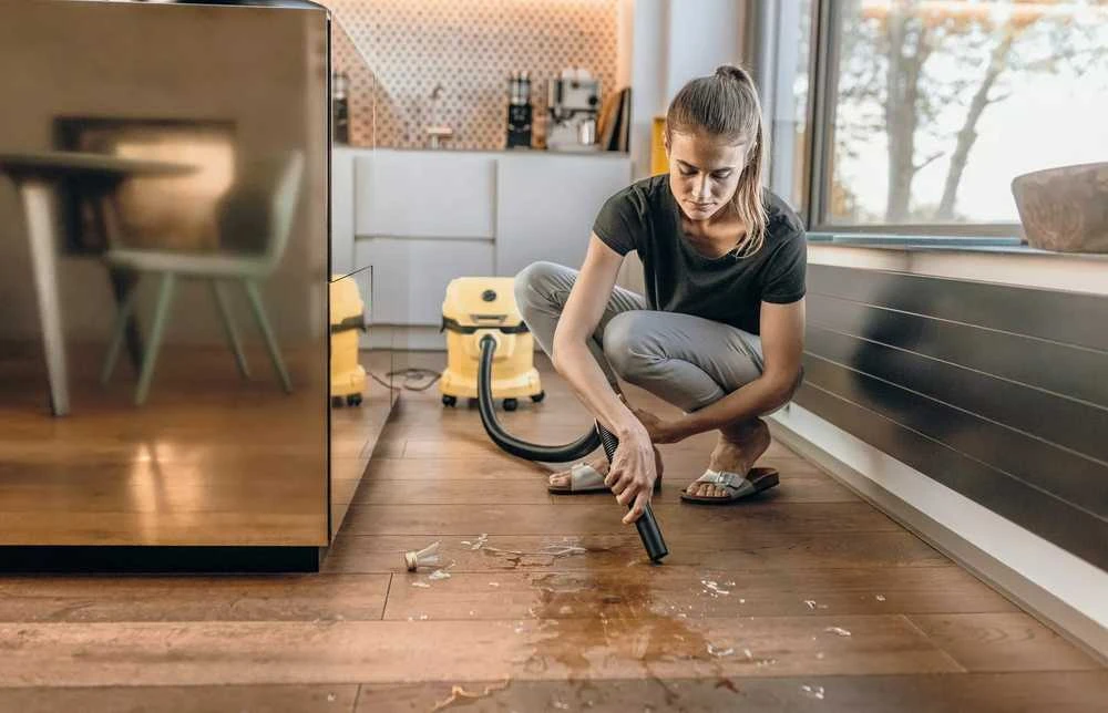 Kärcher dulkių siurblys WD 2 Plus V-12/4/18, 1.628-000.0