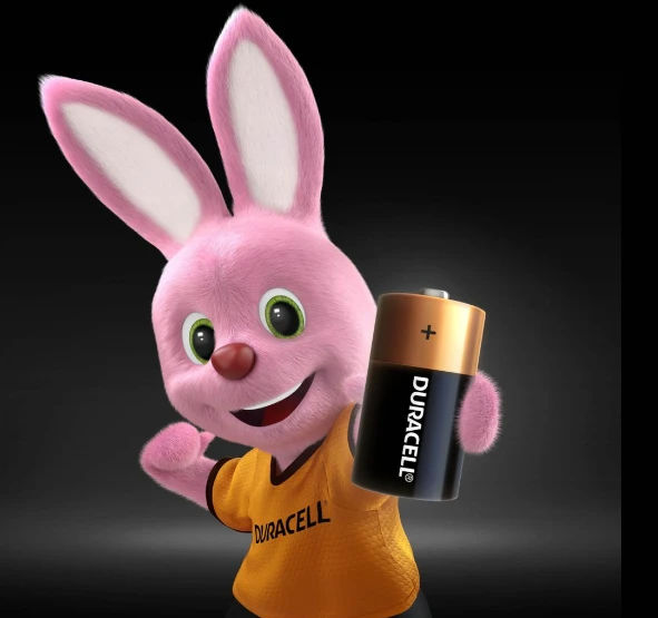 Duracell | Basic MN1400 C BL2