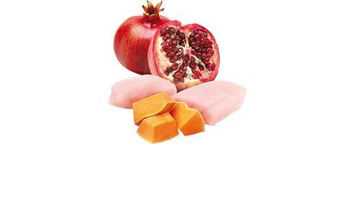 FARMINA N&D PUMPKIN - DOG Wet vištiena moliūgas&Pomegranate ADULT 285 g (pak.6)