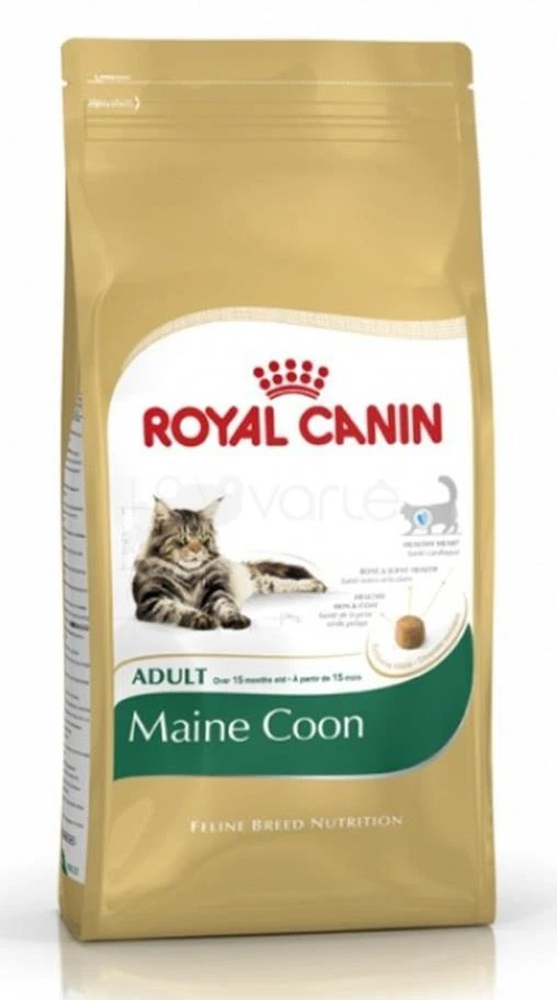 Royal Canin Maine Coon Adult 10kg