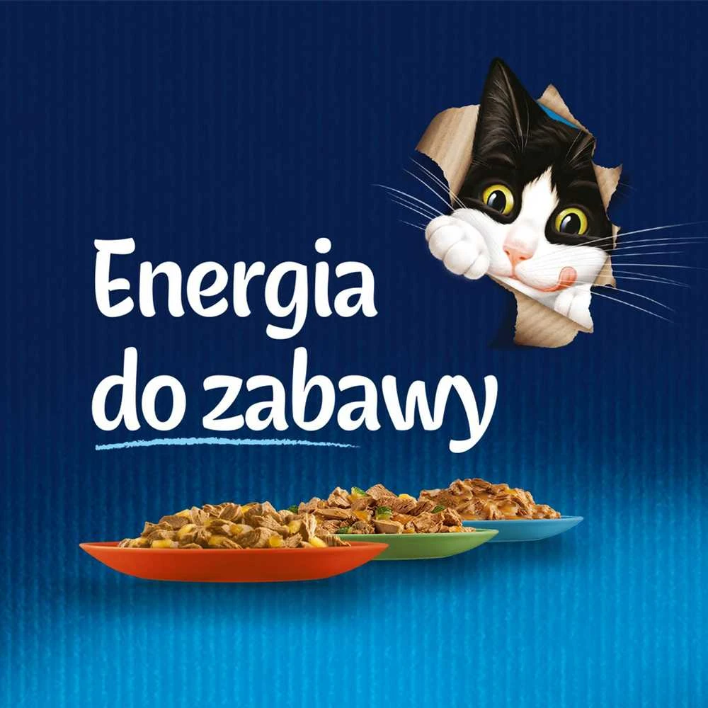 Purina Nestle Drėgnas Kačių Maistas - Felix 85 g