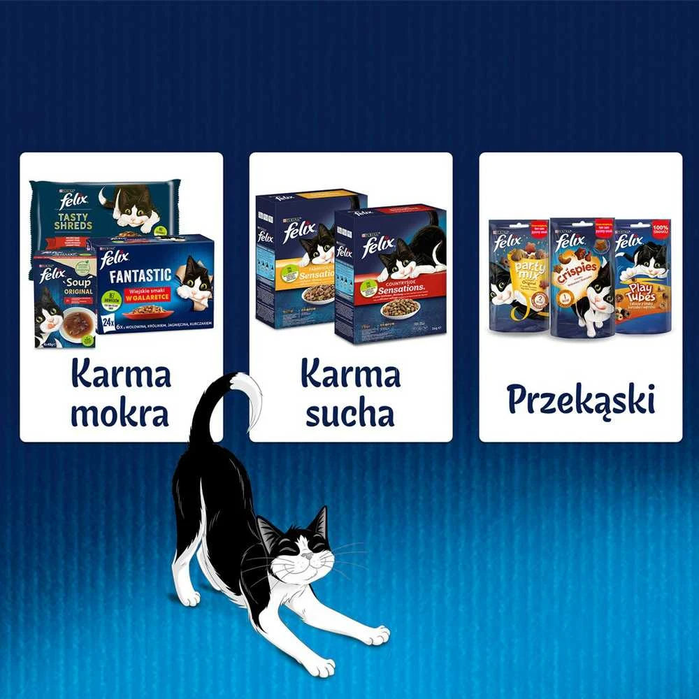 Purina Nestle Drėgnas Kačių Maistas - Felix 85 g