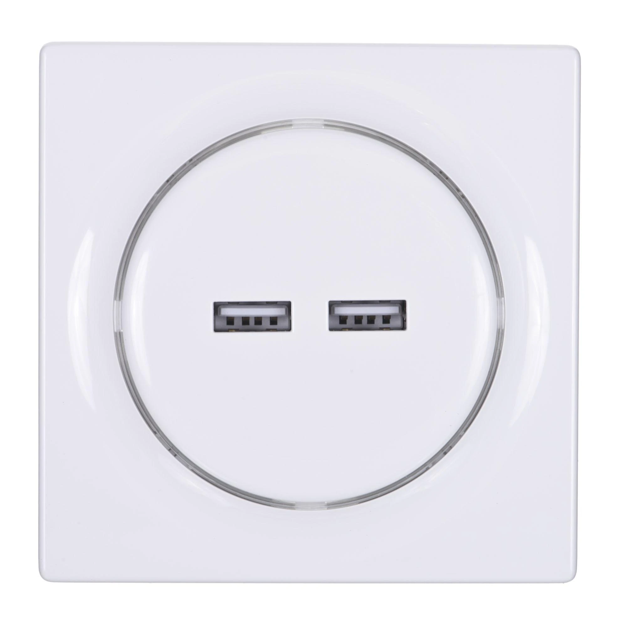 USB šakotuvas – „Fibaro Walli N“ 2 USB šakotuvai