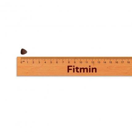 Fitmin dog Purity GF Adult Mini jautiena - 4kg