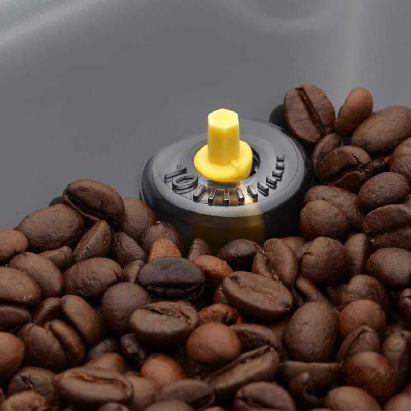 Kavamalė RI9604/01 Gaggia Cadorna Prestige Kavos aparatas