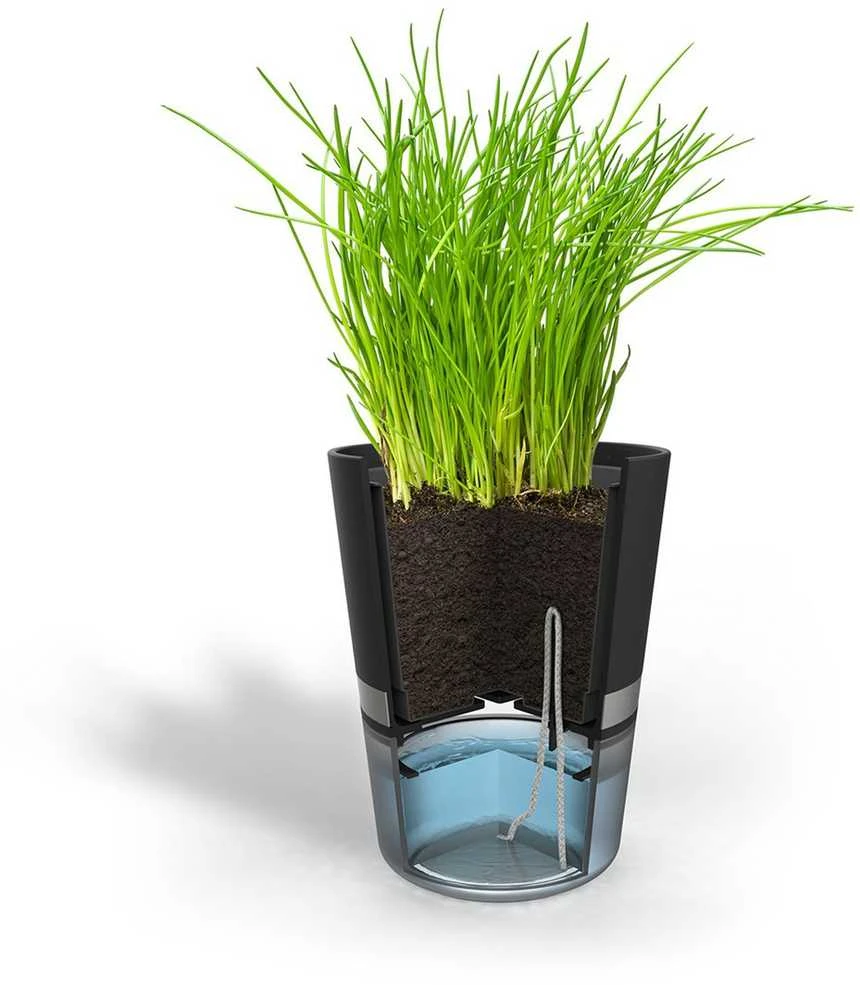 Vazonas - GEFU BOTANICO Laisvai Stovintis Plastikinis, Nerūdijančio Plieno, 0.5L Vandens Bakas, Juodas