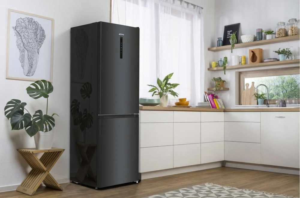 Šaldytuvas GORENJE NRK619EABXL4