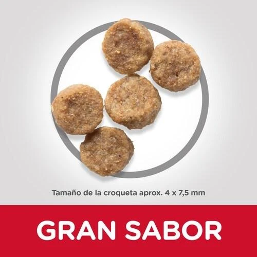 Hill's Dog Science Plan Mature Adult 7+ Small & Miniature vištiena & kalakutiena sausas Maistas šunims 1,5kg