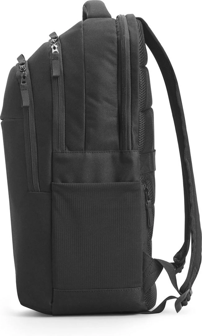 Hewlett Packard (HP) HP Professional 17.3 kuprinė su RFID/Bluetooth sekiklio kišene – juoda