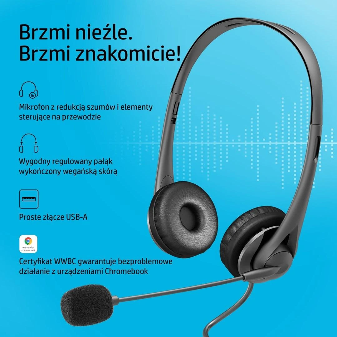 Hewlett Packard (HP) HP USB G2 STHS ausinės